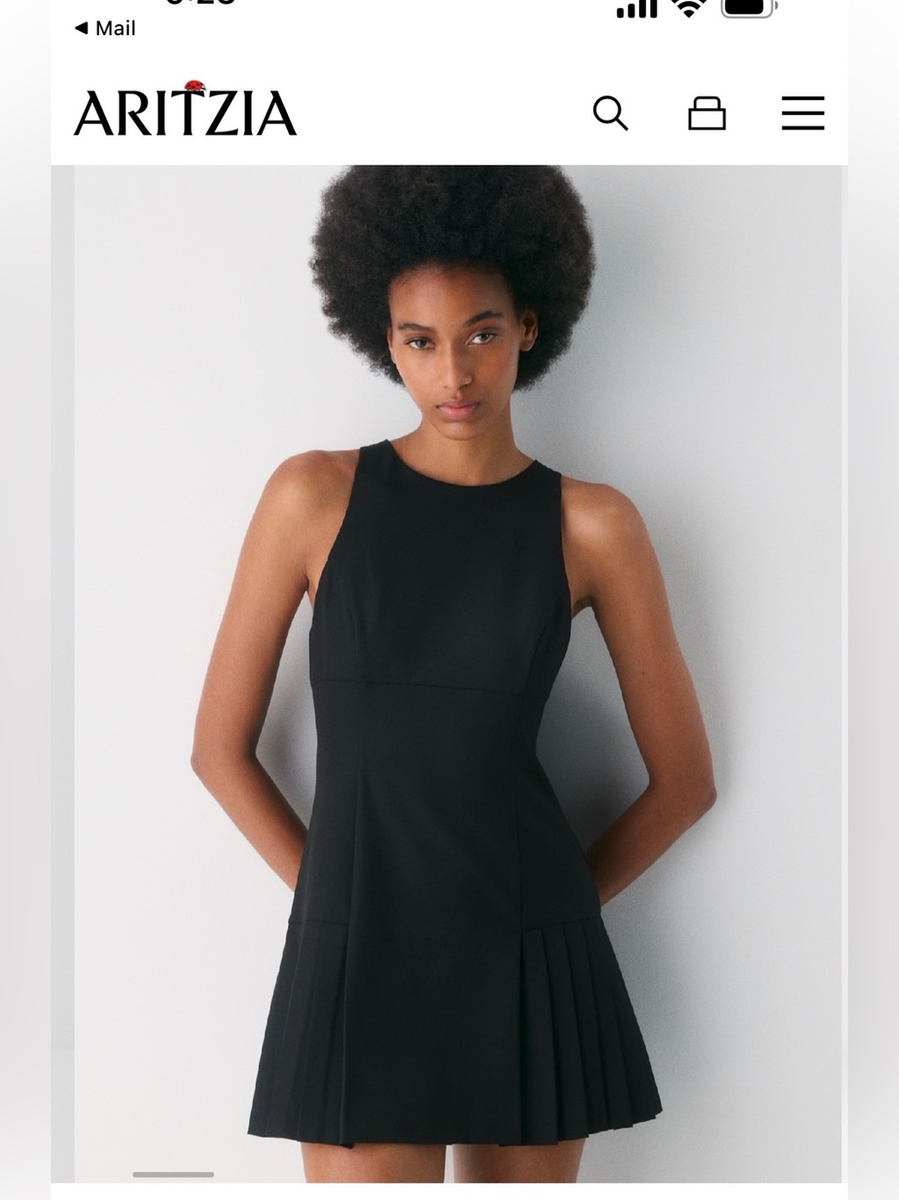 Aritzia Black Bridle Sleeveless Pleated Mini Dress